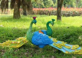 公園草坪兩只相對的玻璃鋼彩繪孔雀雕塑